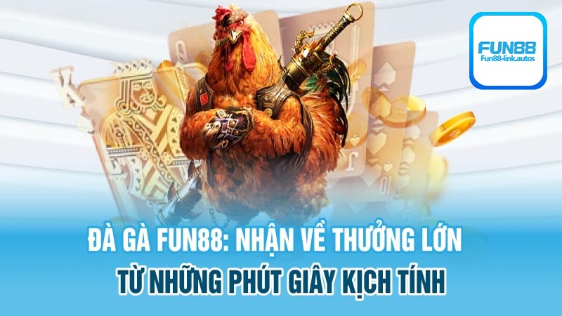 Lý do nhiều kê thủ hàng đầu chọn đá gà Fun88 là gì?