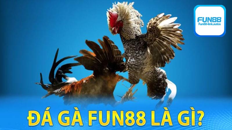 Tổng hợp những loại hình cá cược đá gà Fun88 hay nhất